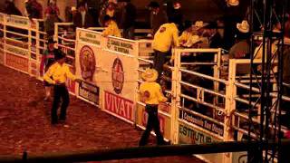 preview picture of video 'Touro Bonus Buritama Rodeio Show 2011'