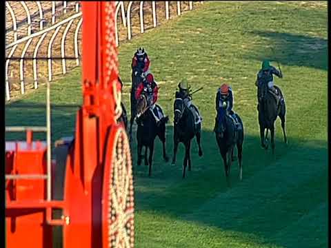 Galoppo 06/12/2017 - 3ª corsa