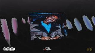 Mir Fontane - Still In The Hood