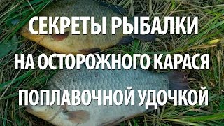 Оснастка для ловли карася поплавочная удочка