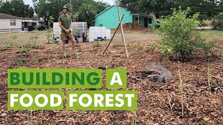 How to Build a Food Forest to Grow Your Own Food