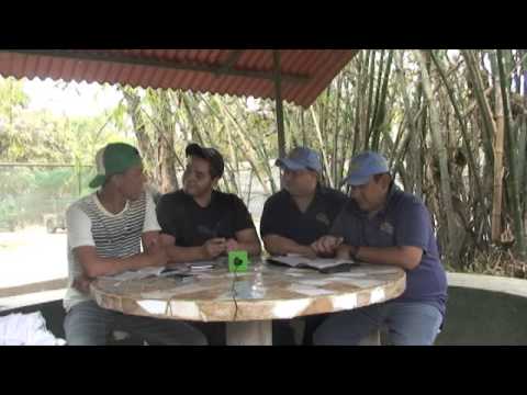 AFICIÓN HÍPICA TV DOMINGO 22 DE MARZO 2015