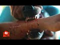 Pet Sematary Bloodlines 2023 Vicious Dog Attack Scene Movieclips
