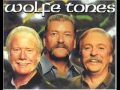 The Wolfe Tones   Song Of Liberty