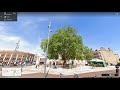 Great Streetview Trees Of London Urban Tree Festival