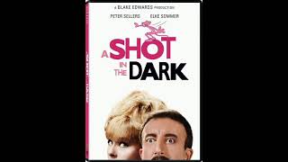 the shadows of paris