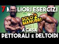 PROGRAMMA allenamento A CASA - Pettorali e Deltoidi [SOLO 2 MANUBRI]