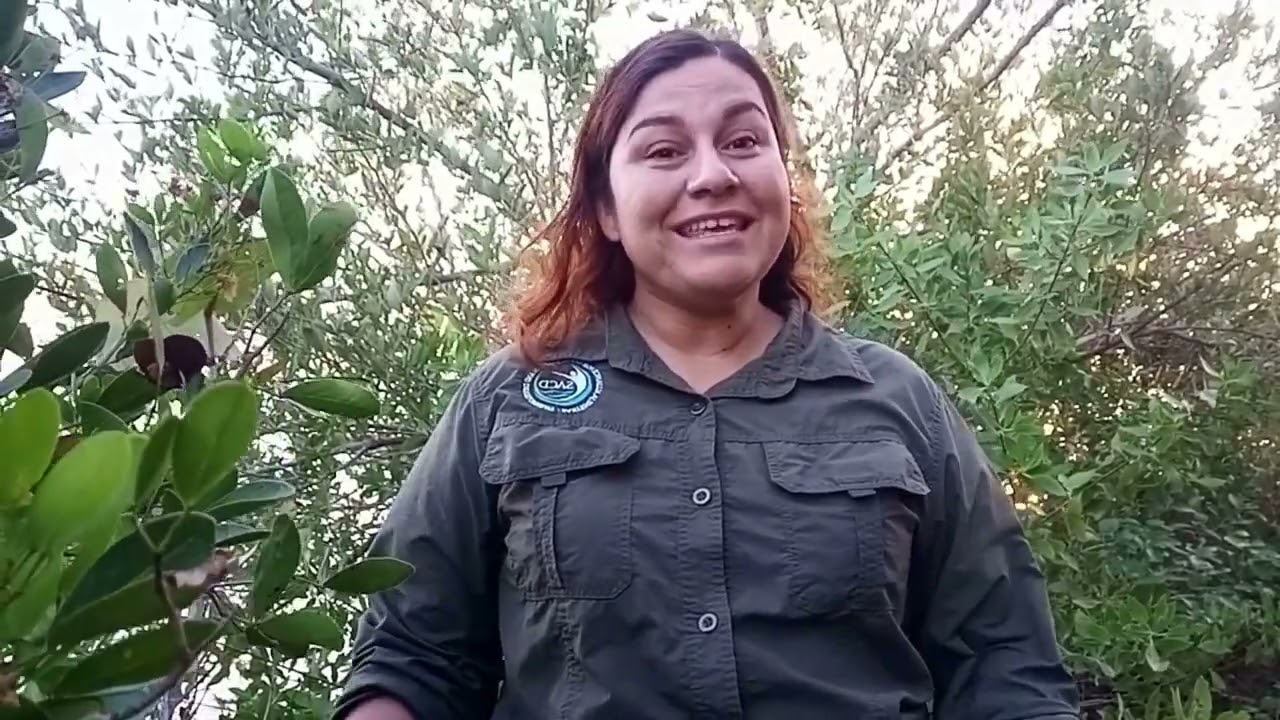 Belize Mangrove Friendly Development Challenge 2025: Sarteneja Alliance Conservation & Development