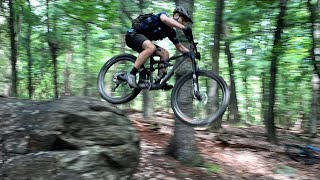 2020 Trail Sage Recap & Looking Ahead