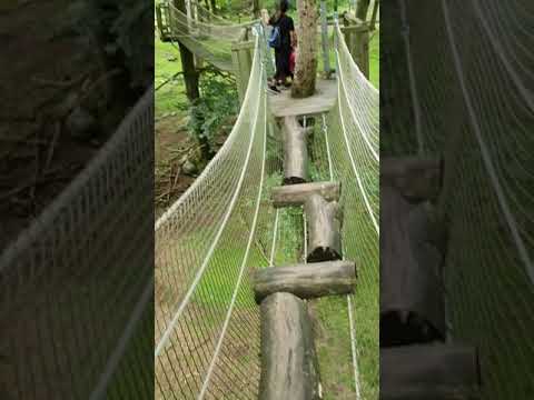 Skånes Djurpark  Äventyr