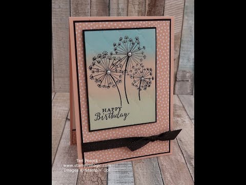 Emboss Resist Sponged Background Using Dandelion Wishes From Stampin' Up!