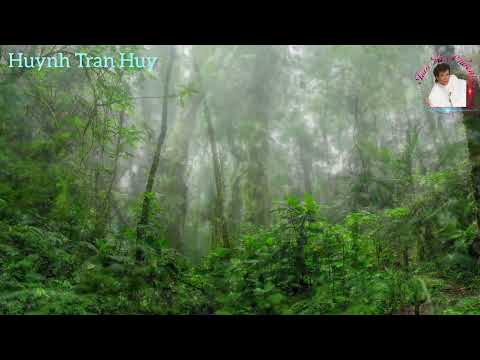 Thể hiện bởi Sơn Tuyền