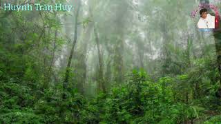 Mưa Rừng (Huỳnh Anh) - Tuấn Vũ & Sơn Tuyền