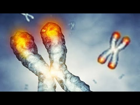 TA Sciences from 2019 A4M World Congress