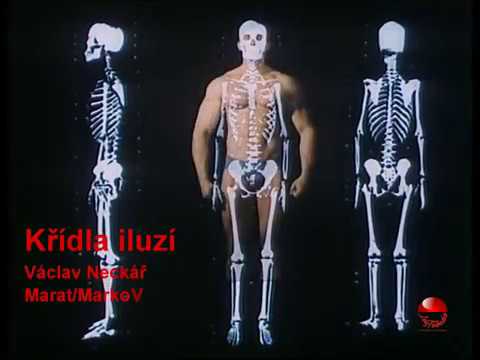 Václav Neckář - Křídla iluzí