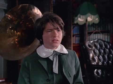 'Nothing is ever a lady's fault'