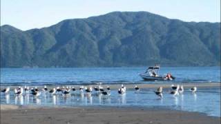 preview picture of video 'Kapiti Car Rental Kapiti Coast. About Paraparaumu Beach and Raumati Beach.'