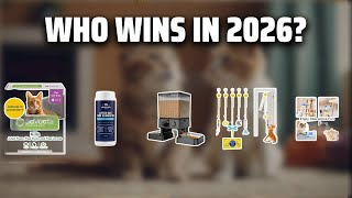 The Top 5 Best Cat Toys in 2026 - Must Watch Before Buying!