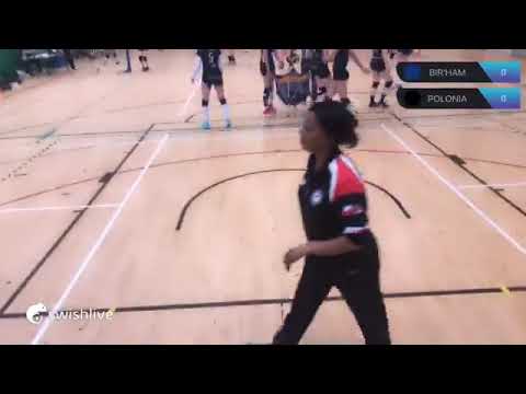 Birmingham VC 1 vs Polonia SideOut London - Womens Super League - 2019/03/30