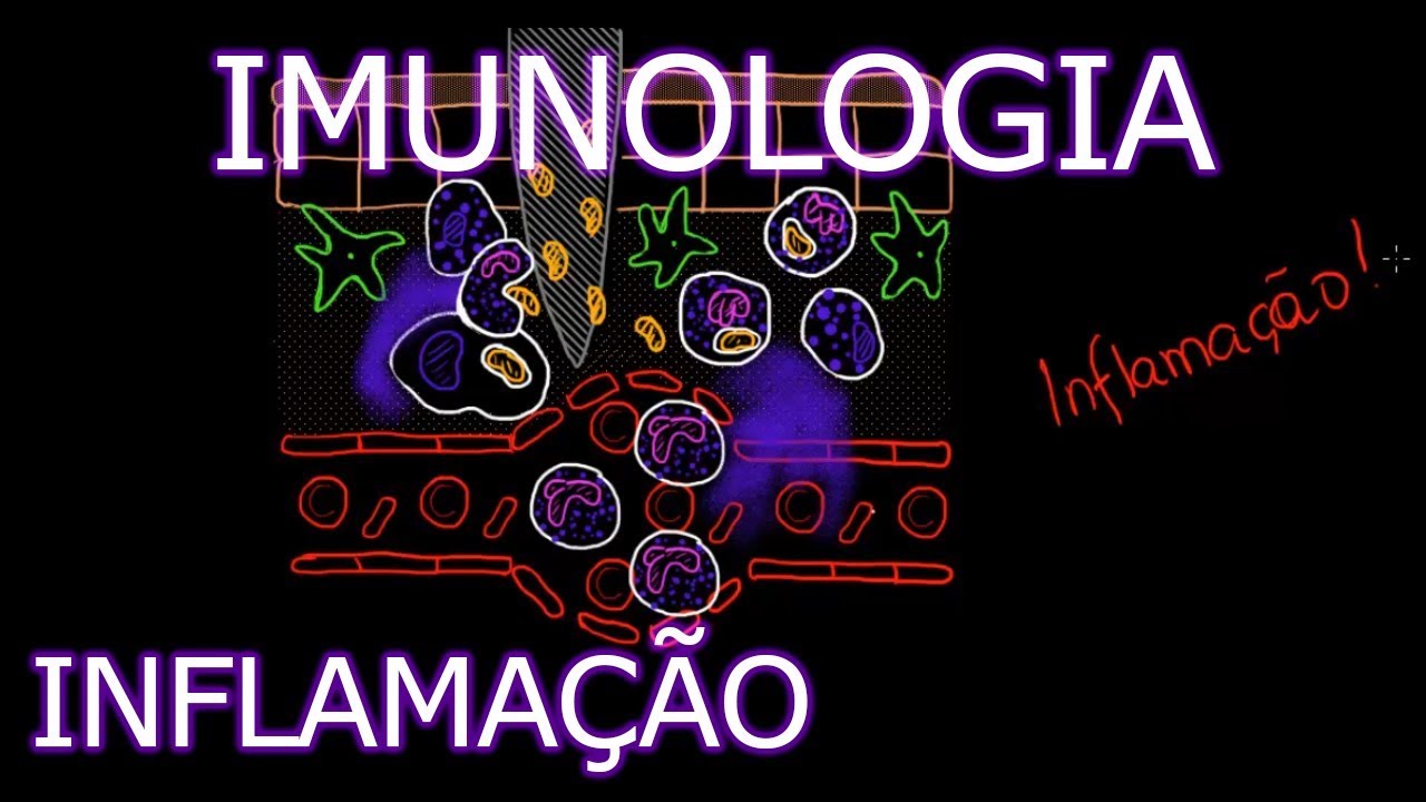 Aula: Imunologia - Inflamação | Imunologia #2