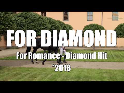 FOR DIAMOND v. For Romance I – Diamond Hit