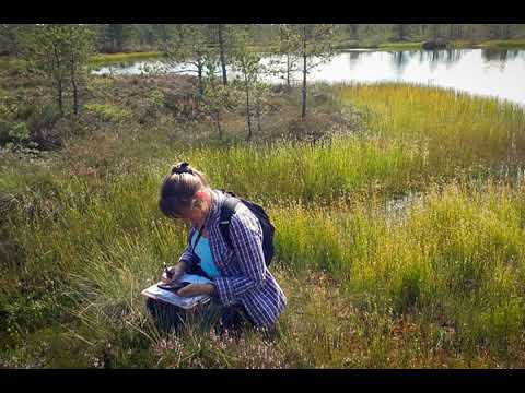 Latvija ir zaļa, vai tas ir mīts?