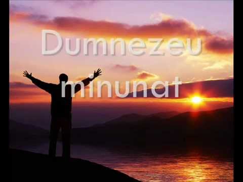 Vitamina C - Dumnezeu minunat (versuri)