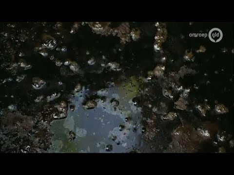 GLD Nieuws 16 augustus 2013 - Nieuws