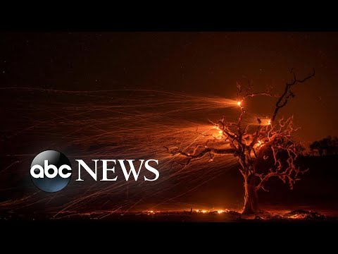 Ember-filled trees, World Series, Boeing’s chief testifies: World in Photos, Oct. 30