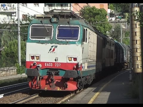 Transito Tigre-Caimano