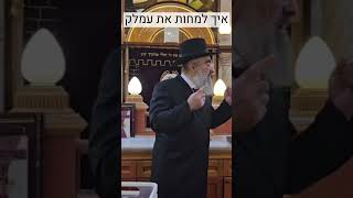 איך משמידים את עמלק? (הרב יצחק ישראלי) - התמונה מוצגת ישירות מתוך אתר האינטרנט יוטיוב. זכויות היוצרים בתמונה שייכות ליוצרה. קישור קרדיט למקור התוכן נמצא בתוך דף הסרטון