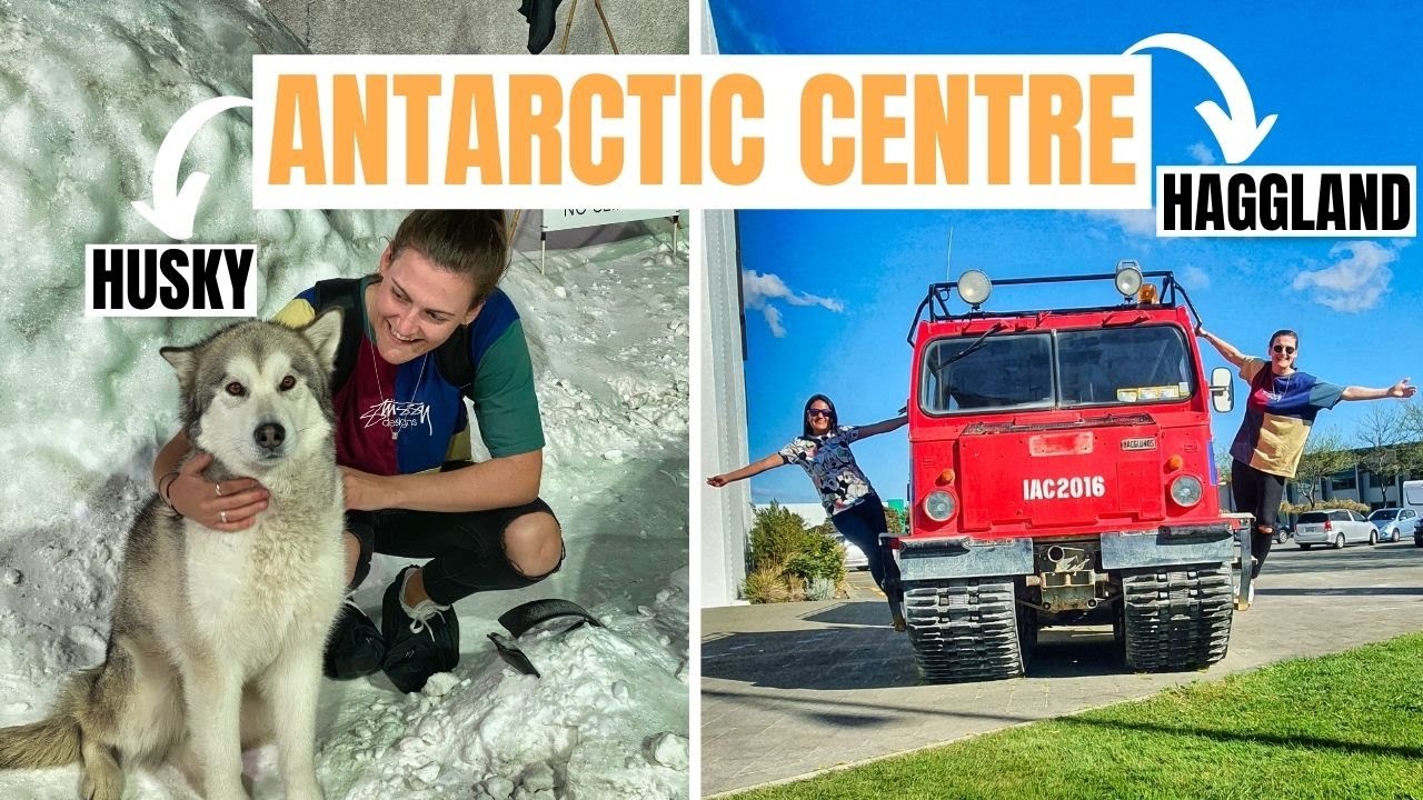 Uncover the magic of Antarctica through icy experiences, penguin habitats, and interactive fun