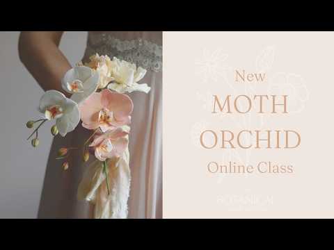 How to Make a Phalaenopsis Orchid Sugar Flower 🌸 | Moth Orchid Gumpaste Tutorial