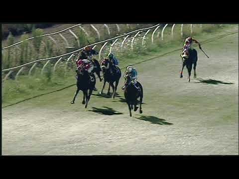 Galoppo  05/08/2020 5ª corsa