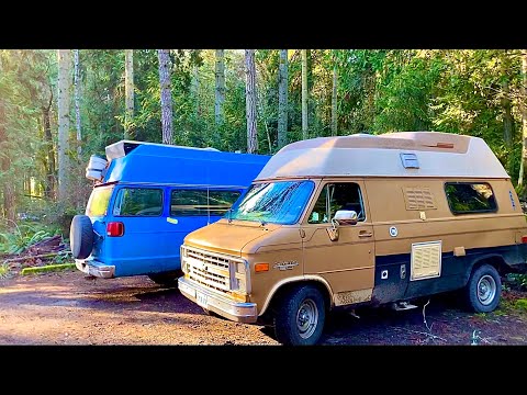 Hanging out with a local van dweller | Camping with @boho blue van
