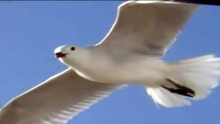 Music by JEAN MICHEL JARRE - Oxygene VI - 6 - Part Six