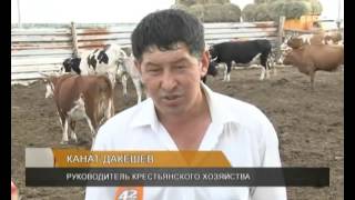 В Теректинском районе ЗКО появится мини-молочная товарная ферма
