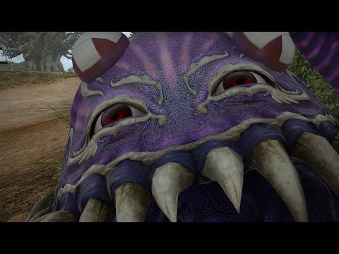 The Coliseum Conundrum - Hildibrand 2.4