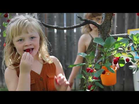 Montana Farmers Union - Customer Success Story