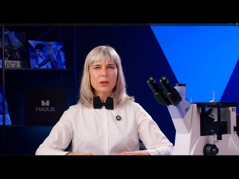 Микроскоп металлографический инвертированный MAGUS Metal V700 DIC
