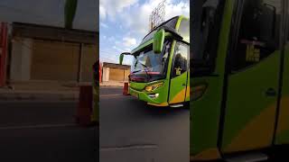 Download lagu Gunung Harta Bus #shorts mp3