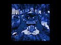 MONTAGEM DOLLAR DUCK ULTRA SLOWED