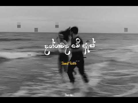 Dannawada Me As│දන්නවද මේ ඇස්│(Slowed⁺Reverb)