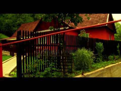 STUDIOURILE SULIGHETE