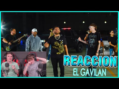 ARGENTINOS REACCIONAN POR PRIMERA VEZ A Luis R Conriquez, Tony Aguirre, Peso Pluma - El Gavilán