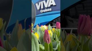 VIVA River Cruise French Balcony Cabin Tour