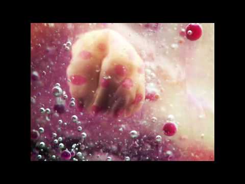 Disgusting Beauty Reveal Their Video For "Adrenaline" — Post-Punk.com