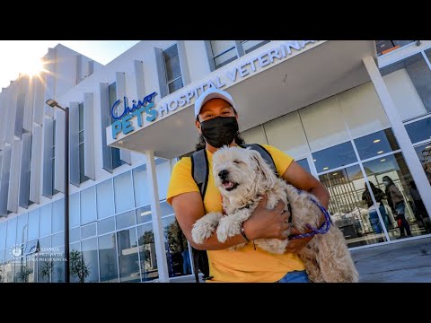 Población agradece la atención que brinda Chivo Pets para sus mascotas