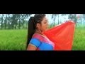 Thahare Na Sinawa Par Bhojpuri Video Song Gawanwa Le Ja Raja Ji