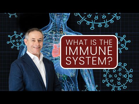 How The Immune System ACTUALLY Works!